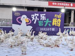 -沈阳奥体冰雪嘉年华