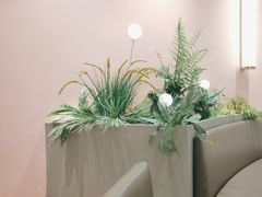 -奈雪的茶(时代天街店)