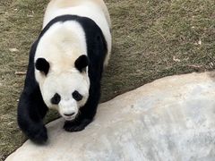 -栾川竹海野生动物园