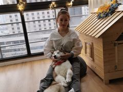 -Husky Go! 哈士奇体验馆·宠物咖啡厅狗咖