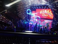 -重庆国际马戏城