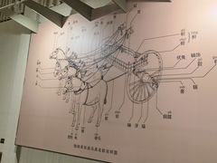 -晋国博物馆