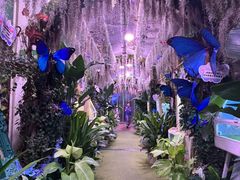 -正佳雨林生态植物园