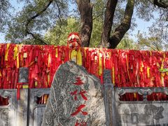 -大槐树寻根祭祖园