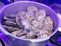 -千岛蚝高压锅生蚝·人参火锅(白云万达店)