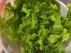 -燚青春东北泥炉烤肉(百合店)