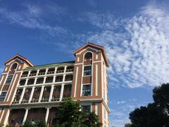 -中山大学学者灵芝(园南路店)