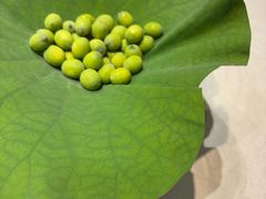 -桂语山房(满觉陇店)
