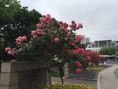 -荆川公园