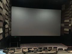 -武商摩尔影城(国广IMAX激光店)