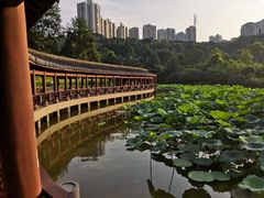 -龙头寺公园