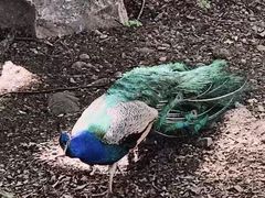 -卡塞拉自然公园