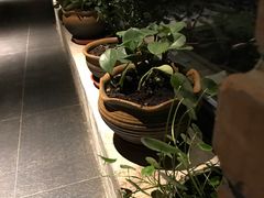 -Local泰莲庭(虹鳟鱼店)