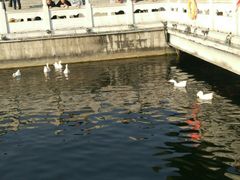 -素满香·素食自助餐(西安·民乐园店)