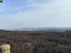 -灵谷景区