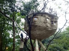 -天门沟九州驿站树上汤泉