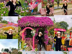-东莞植物园