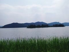 -东湖落雁景区