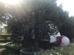 -广州花之恋城堡酒店