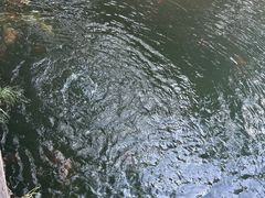 -西湖游船