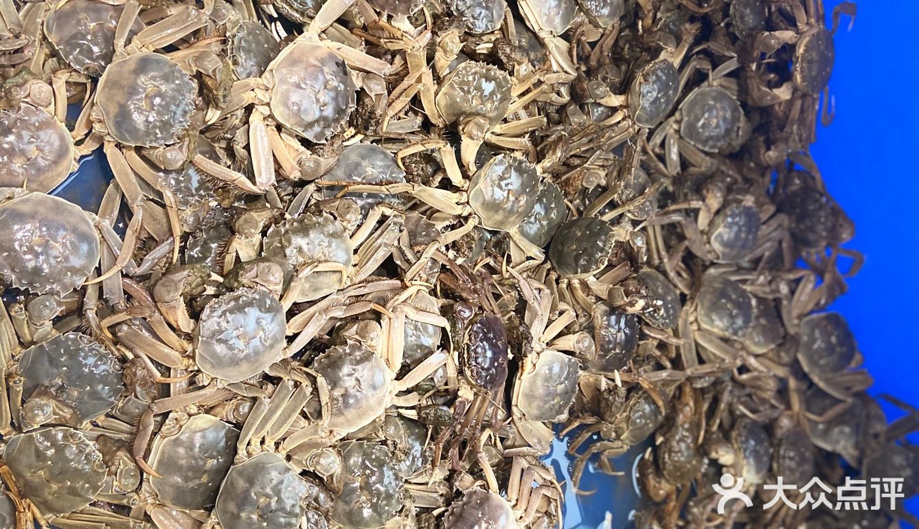 超级实惠自助吃海鲜