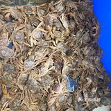 超级实惠自助吃海鲜
