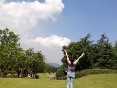 -铁山坪森林公园