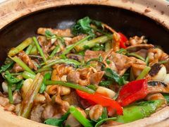 肥肠煲-煲煲好(朝阳门店)