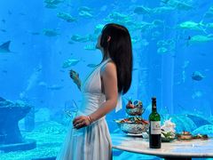 -亚特兰蒂斯•OSSIANO奥西亚诺海底餐厅