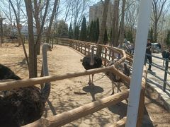 -大连森林动物园