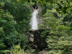 -花岩国家森林公园