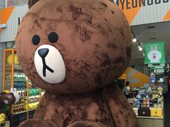 -line friends(明洞旗舰店)