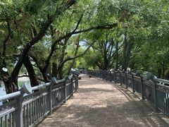 -清溪水库