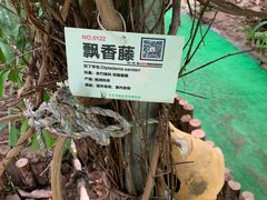 -呀路古热带植物园
