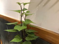-十二舍·湯物素煮(江泰潤政店)