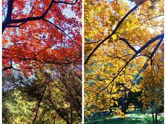 -森林公园(尖草坪区)