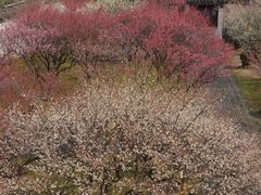 -苏州上方山国家森林公园