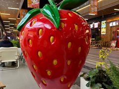 -树夏(鹭洲里店)