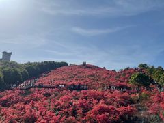 -瑞安圣井山景区