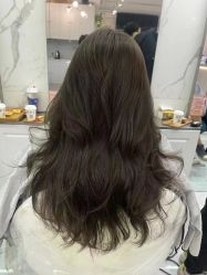 -潘多拉Hairsalon