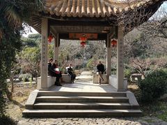 -雨花胜境