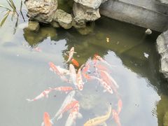 -古琴台