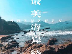 -杨梅坑