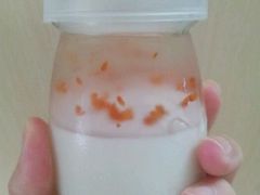android_upload_pic-布朗尼西饼(粮道街店)