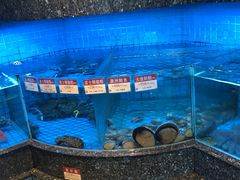 -协成海鲜火锅(情侣路店)