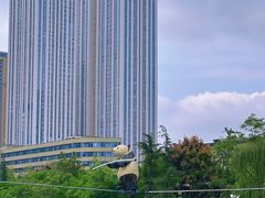 -成都市活水公园