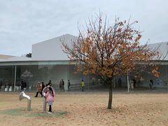 -金泽21世纪美术馆