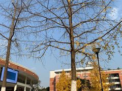 -四川大学(望江校区)