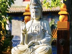 -西安大兴善寺