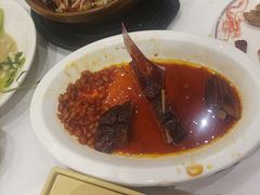 -稻香酒家·34年老字号·港式粤菜(侨光店)